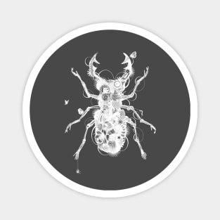 Stag Beetle White Magnet